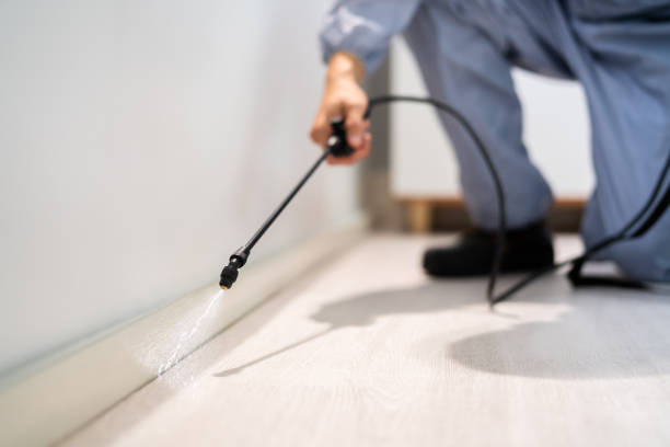 Licensed Pest Control service in Columbia Falls, MT - Show Me Pest Control