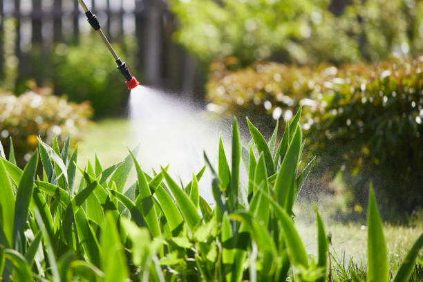 Tamper-Resistant Bait Stations for Rodents in Columbia Falls