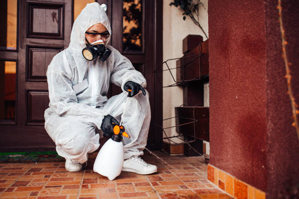 Attic and Crawl Space Rodent Treatment in Columbia Falls