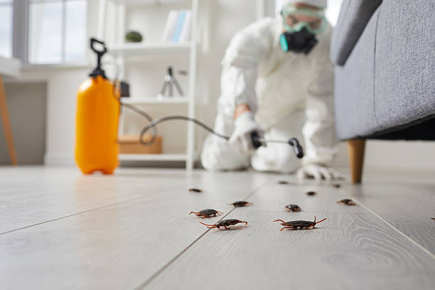Commercial Rodent Management in Columbia Falls